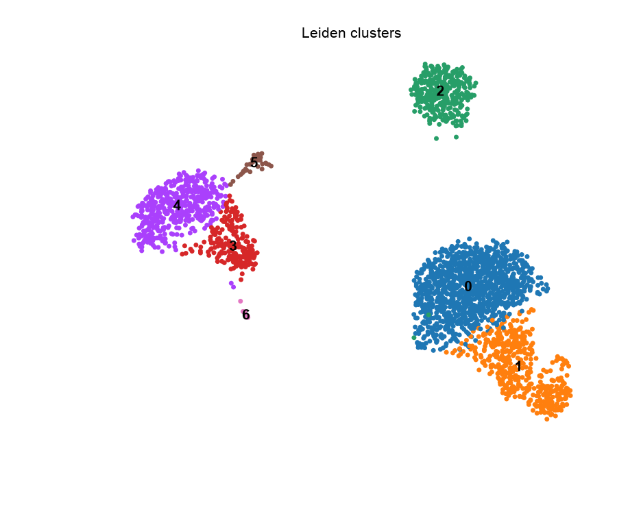 PBMC Leiden 聚类 UMAP