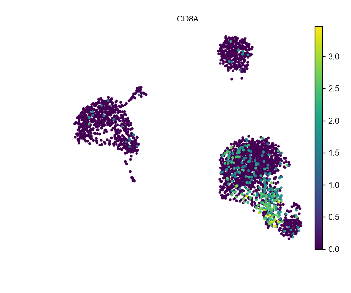 CD8A 在 PBMC UMAP 中的表达