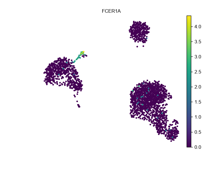 FCER1A 在 PBMC UMAP 中的表达