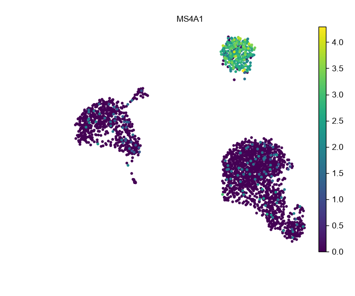 MS4A1 在 PBMC UMAP 中的表达