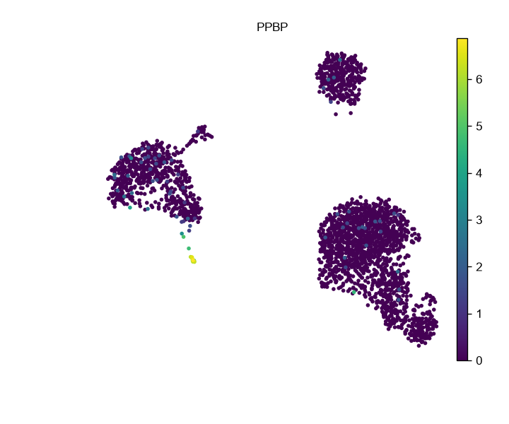 PPBP 在 PBMC UMAP 中的表达