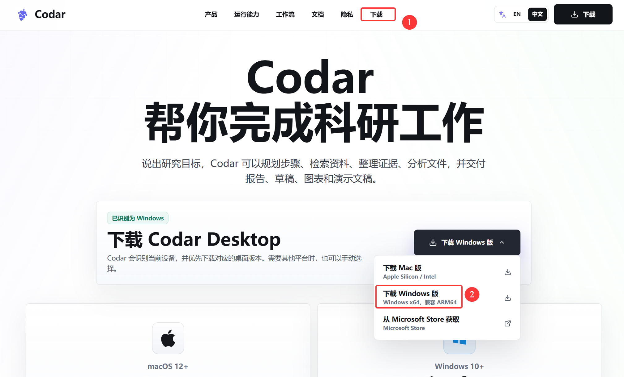 从 Codar 官网下载 Windows 安装包