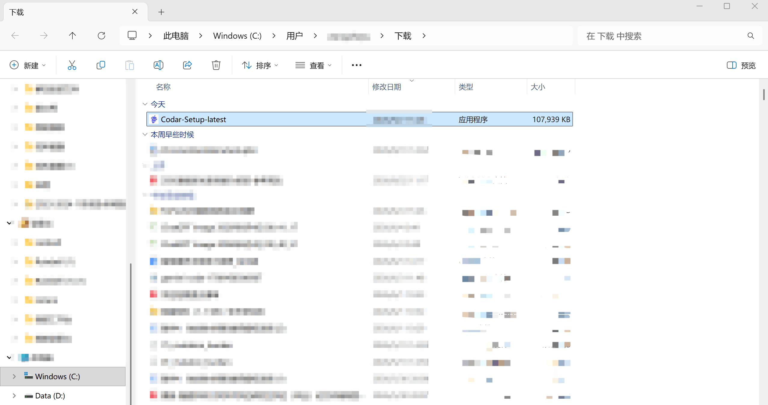 在下载文件夹中找到 Codar 安装程序